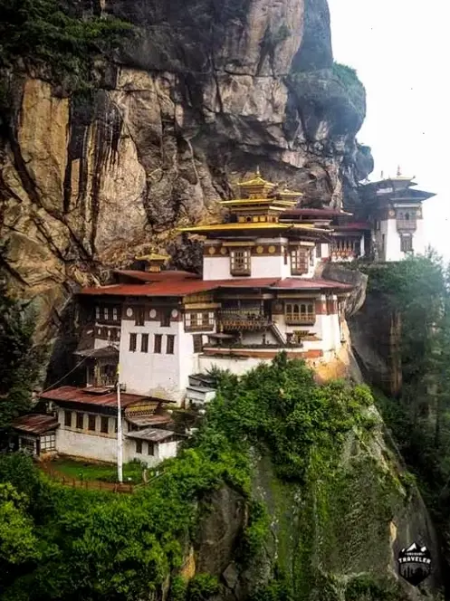 Thiền cùng Phật Bhutan, trải nghiệm sự tĩnh lặng và giác ngộ sâu sắc.