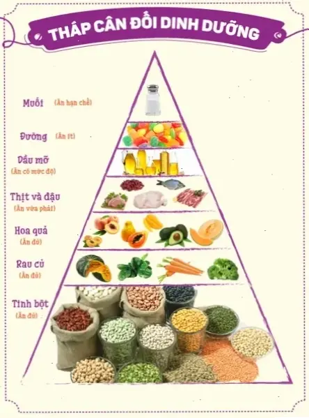 Thông tin chuyên sâu về dinh dưỡng
