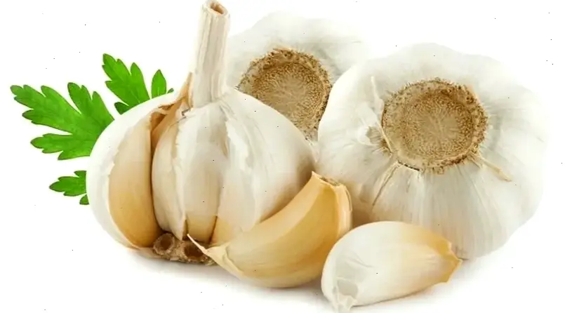 Thực phẩm hữu ích