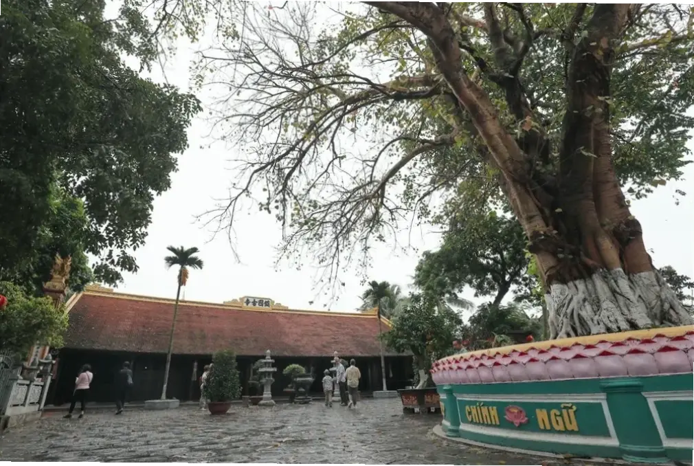 Trải nghiệm tâm linh sâu sắc tại chùa cổ Việt Nam, nơi linh hồn được an ủi và kết nối với cõi thiêng.