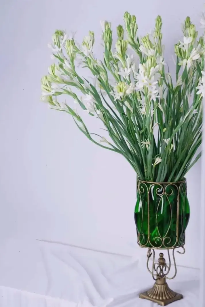 Trang trí nhà bằng bình hoa huệ tây, tạo nên không gian tươi mát và hài hòa dễ chịu.