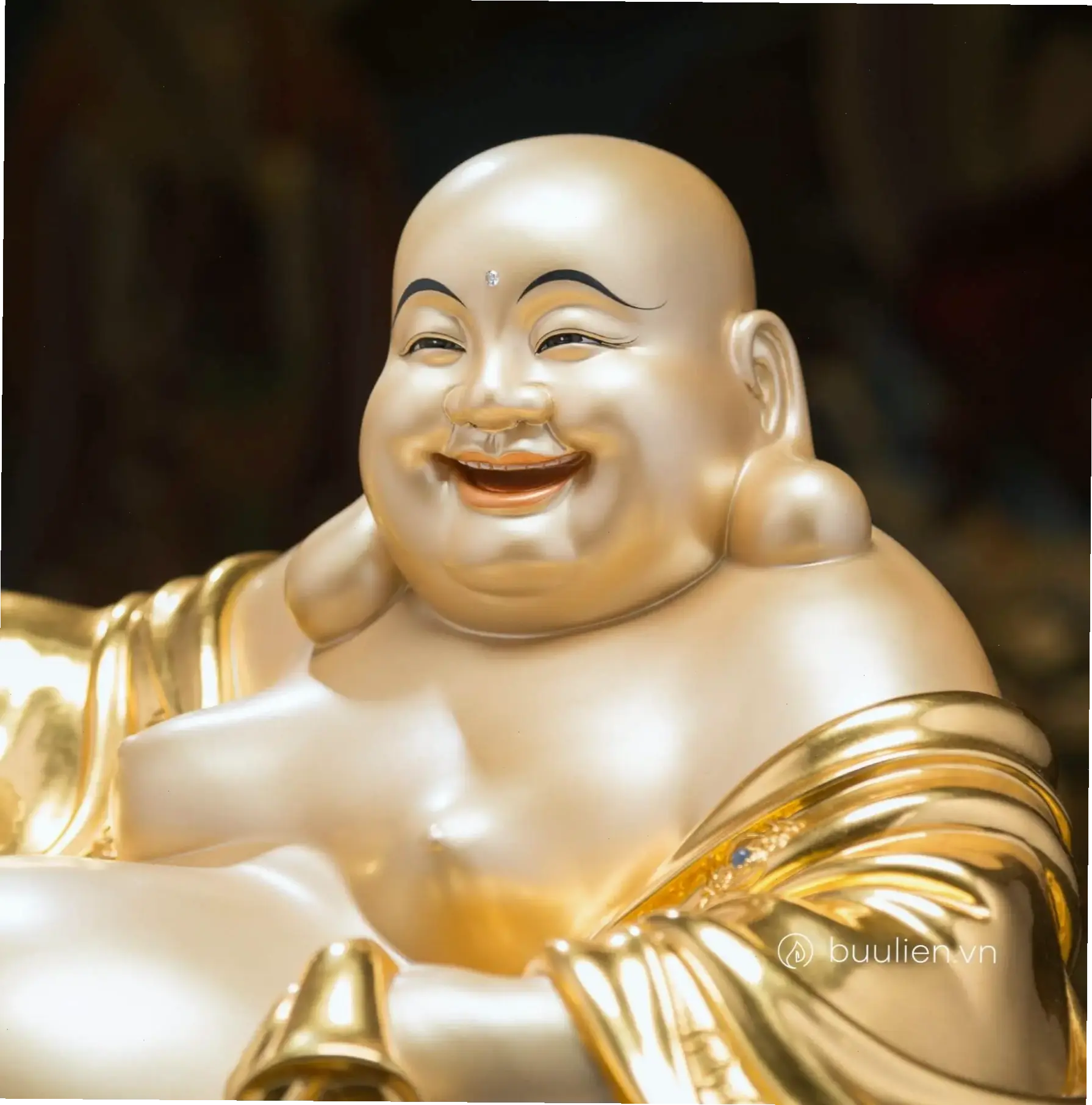 Tranh Di Lặc nghệ thuật, kết hợp cổ điển với hiện đại, mang lại sự hài hòa và thịnh vượng cho không gian.