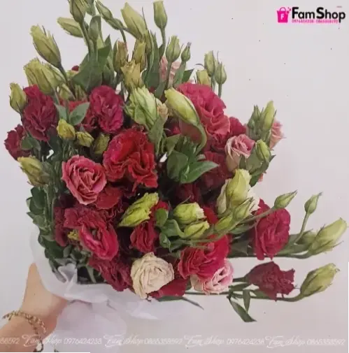 Trồng Hoa cát tường chậu dễ dàng, biến ban công thành khu vườn xinh xắn đầy sức sống.