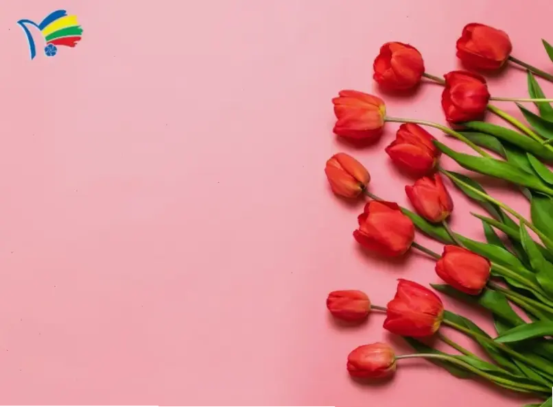 Tulip cắm bình xinh xắn, trang trí nhà cửa dịp 8/3 với vẻ đẹp tự nhiên và ấm áp.