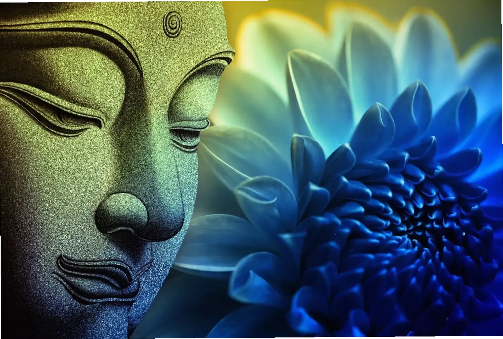 Tượng Phật đá ánh sáng rực rỡ, chiếu sáng tâm hồn bạn với năng lượng tích cực.