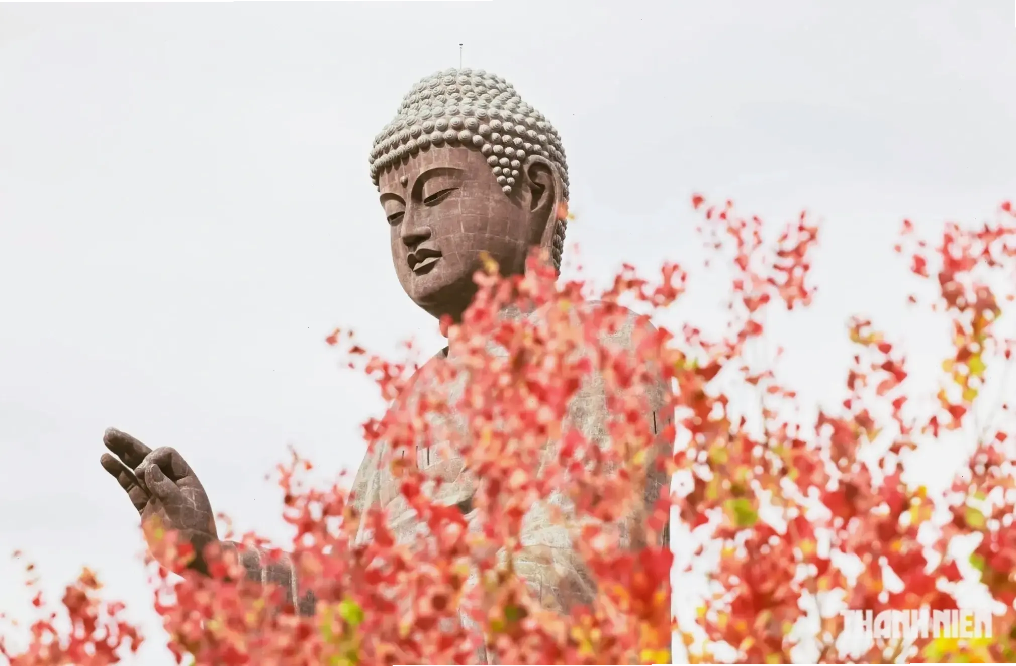 Tượng Phật đồng bình an mang đến sự yên tĩnh, giúp bạn thư giãn và tìm thấy sự cân bằng trong cuộc sống hằng ngày.