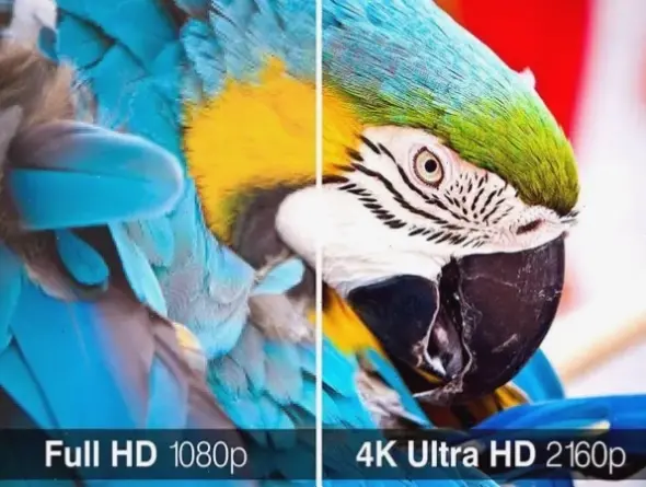 Voi châu Phi mạnh mẽ ẩn mình trong bụi cây, bức ảnh đầy kịch tính và bí ẩn của thiên nhiên hoang sơ.