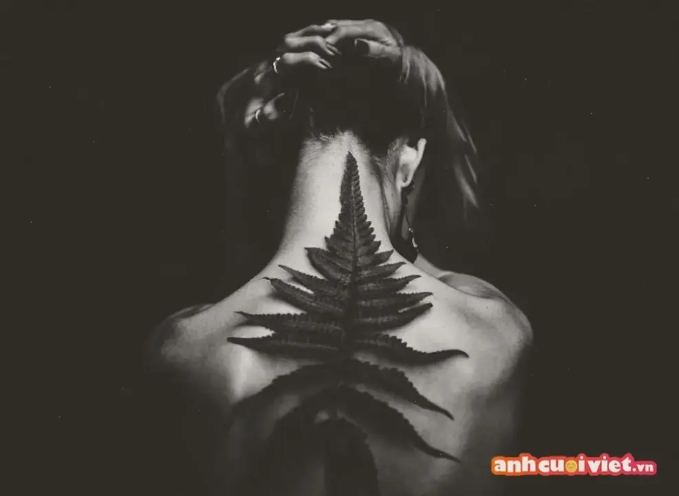 Avatar bóng tối cá tính: Khám phá phong cách huyền bí, độc đáo, giúp bạn tỏa sáng với cá tính riêng biệt!