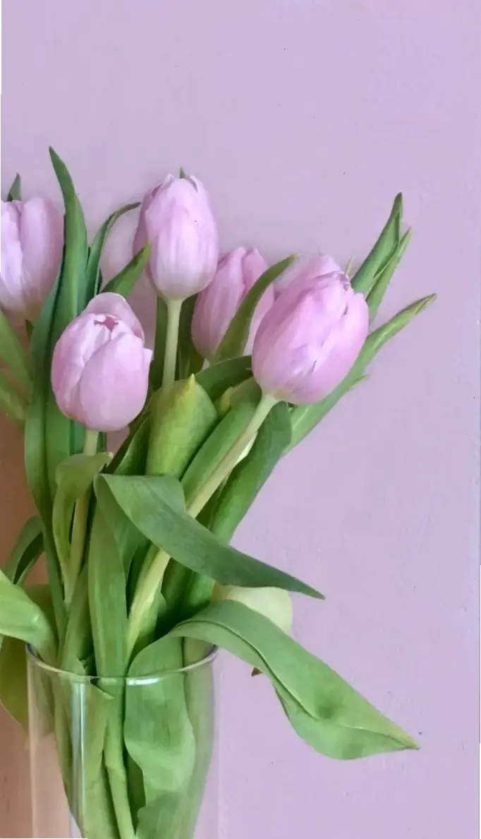 Avatar hoa aesthetic mang đến vẻ đẹp tươi mới, sáng tạo và thẩm mỹ hoàn hảo cho profile của bạn!