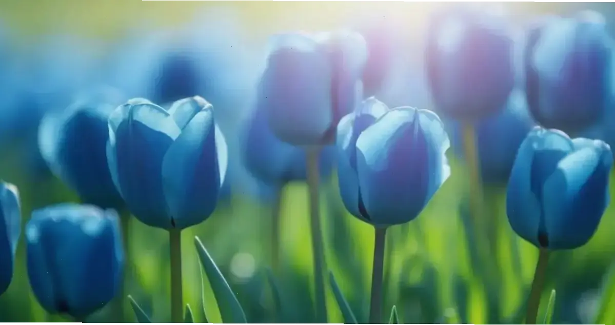 Khám phá avatar hoa nghệ thuật độc đáo, biến hồ sơ bạn thành khu vườn rực rỡ và đầy cảm hứng!