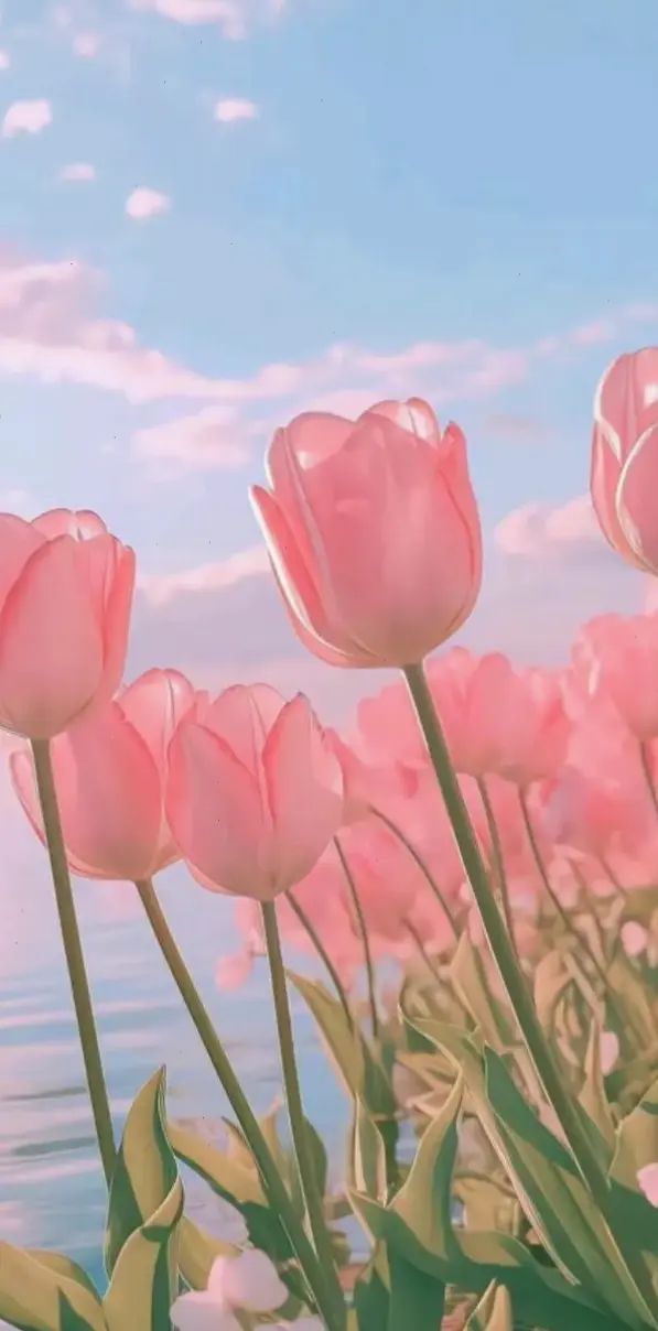 Khám phá avatar hoa văn aesthetic độc đáo, mang đến vẻ đẹp tinh tế và phong cách cá nhân nổi bật cho bạn.