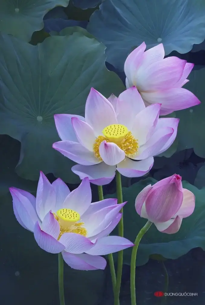 Avatar hoa văn đẹp – sự kết hợp hoàn hảo giữa nghệ thuật tinh tế và cá tính riêng biệt, nâng tầm phong cách của bạn!