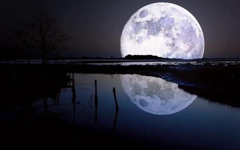 Avatar mặt trăng đẹp này mang vẻ huyền bí và lãng mạn, biến profile bạn thành không gian đêm lấp lánh, đầy sức hút.