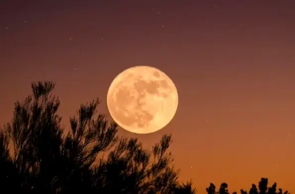 Avatar mặt trăng lãng mạn mang đến vẻ đẹp huyền bí, khơi dậy tình yêu và giấc mơ bất tận dưới bầu trời đêm lấp lánh.