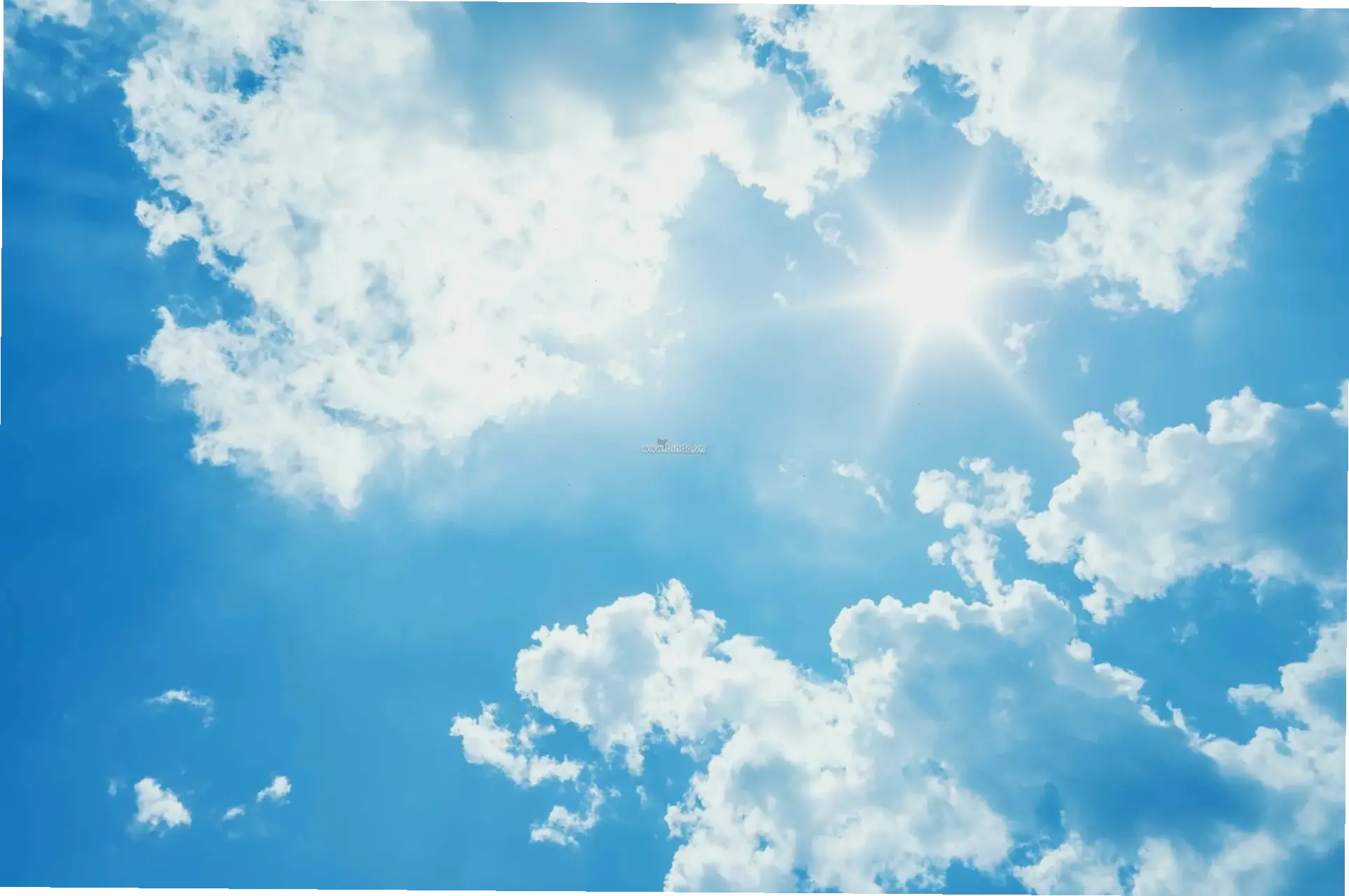 Avatar mây đẹp mang đến vẻ yên bình của bầu trời, làm mới profile bạn với sự sáng tạo và tự do tự nhiên!