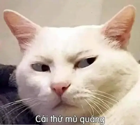 Avatar meme độc lạ đang làm mưa làm gió! Hãy biến profile bạn thành biểu tượng độc đáo và cuốn hút ngay hôm nay!