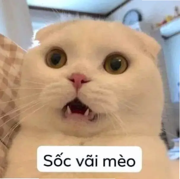 Avatar meme hài hước siêu vui nhộn, biến mọi khoảnh khắc thành tiếng cười bất tận!