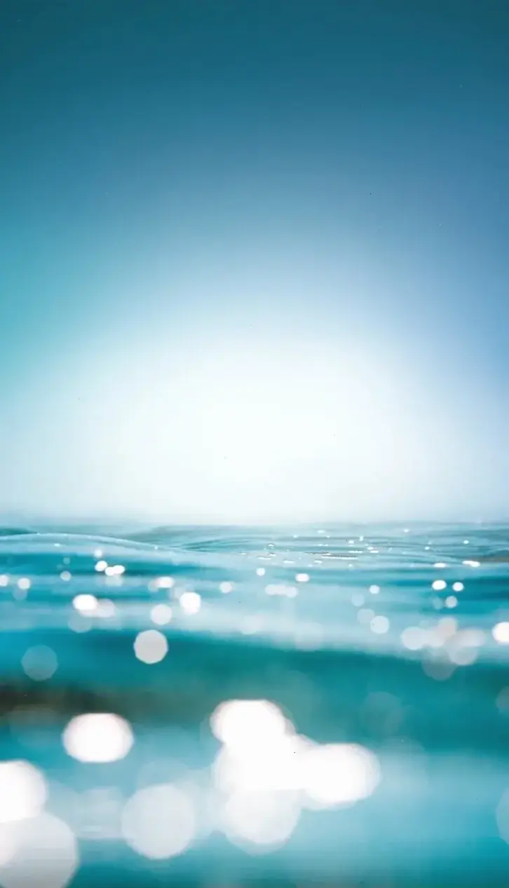 Avatar nước biển mang đến vẻ đẹp mê hoặc của đại dương, giúp bạn thư giãn và khám phá thế giới dưới lòng biển sâu thẳm.