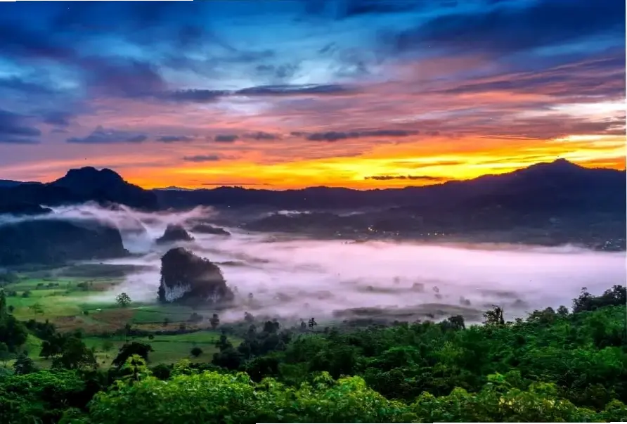 Avatar rừng aesthetic mang đến vẻ đẹp huyền bí của rừng xanh, khám phá không gian thiên nhiên đầy mê hoặc ngay hôm nay!