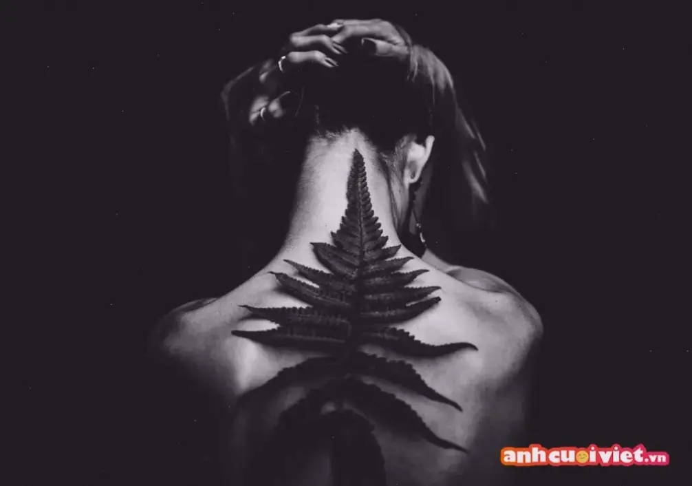 Avatar tối giản đen trắng: phong cách tinh tế, dễ cá nhân hóa, lý tưởng cho hồ sơ chuyên nghiệp và hiện đại!