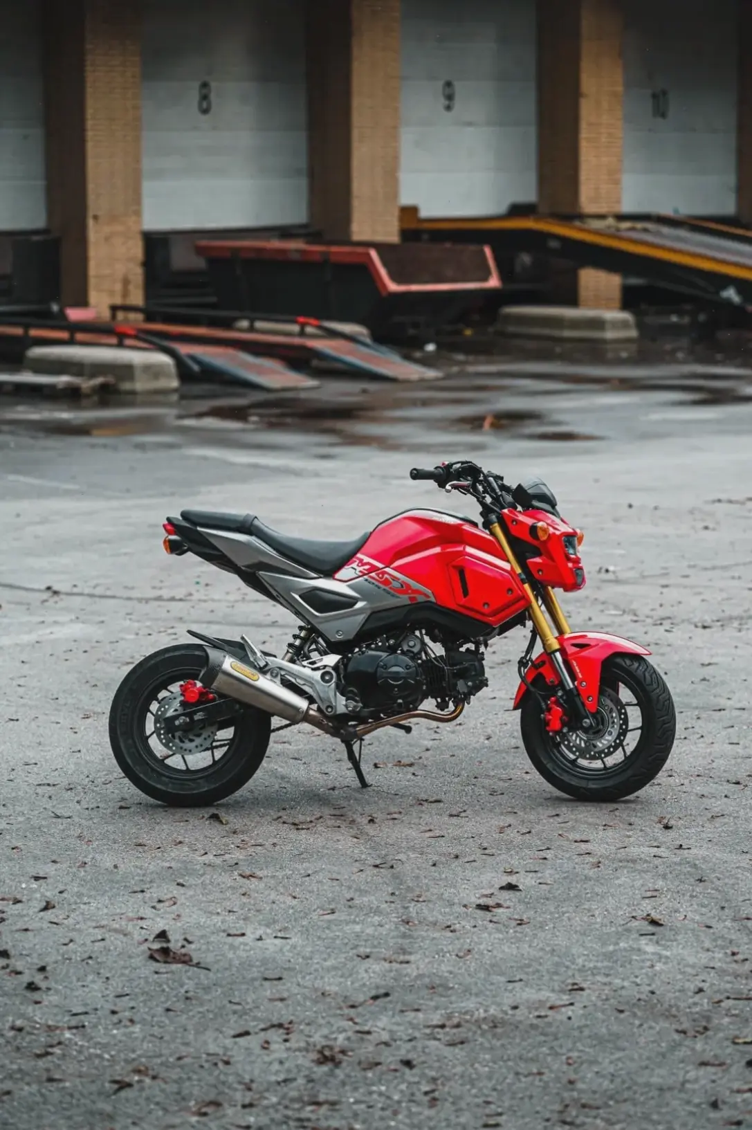 Honda MSX125 Bike: Lý tưởng cho đô thị với sự linh hoạt, hiệu suất cao và phong cách trẻ trung!