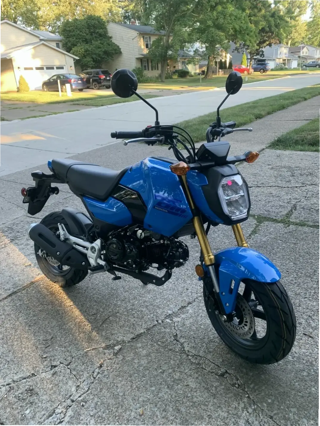 Honda MSX125 Performance Bike: Hiệu suất vượt trội, sẵn sàng chinh phục mọi thử thách với sức mạnh ấn tượng!