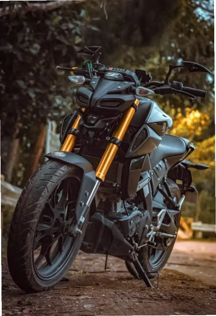 Yamaha MT-15 Performance Bike mang hiệu suất cao, giúp bạn chinh phục mọi đường phố một cách đầy đam mê.