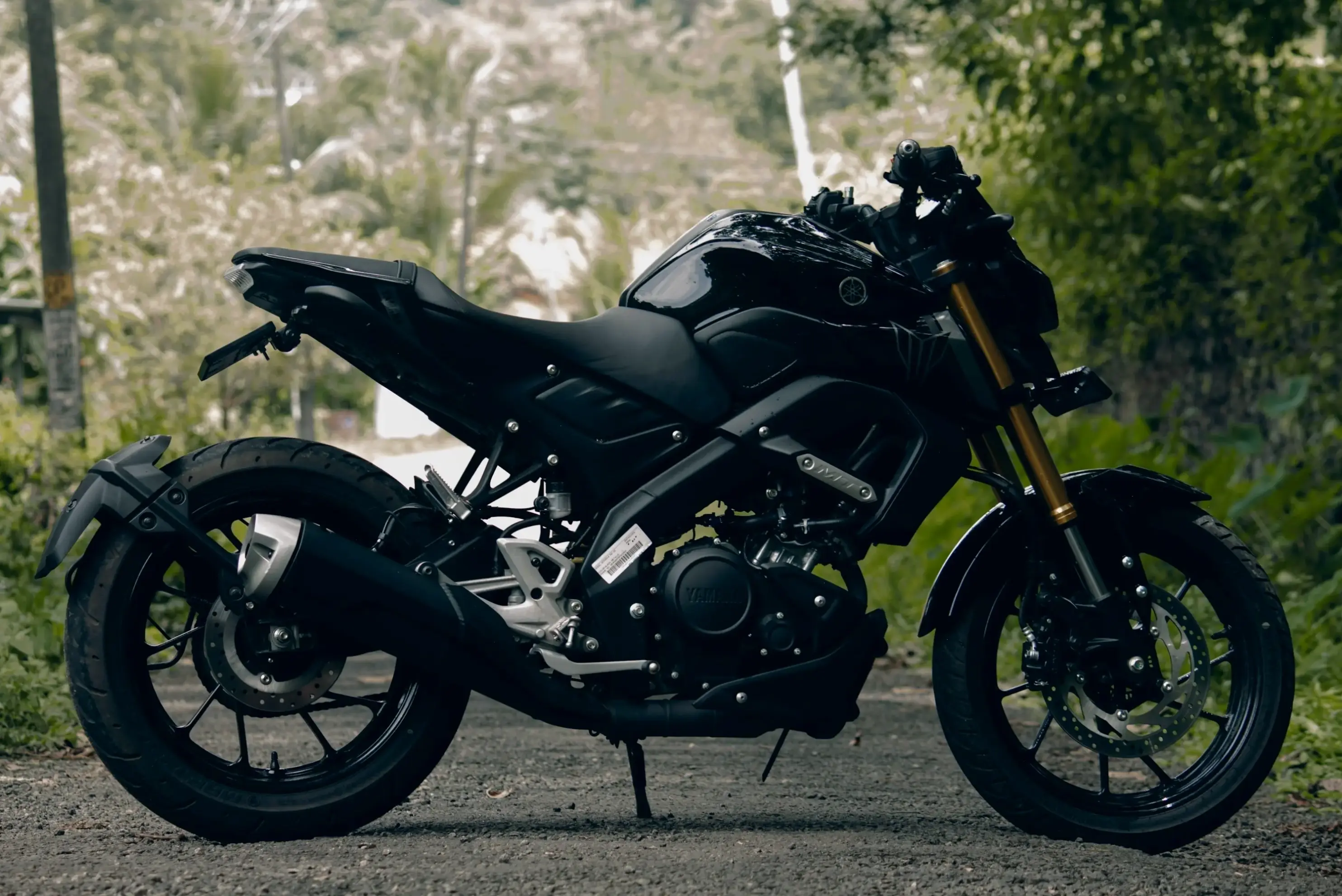 Yamaha MT-15 Premium Motorcycle mang lại sự sang trọng và hiệu suất đỉnh cao cho người dùng tinh tế.