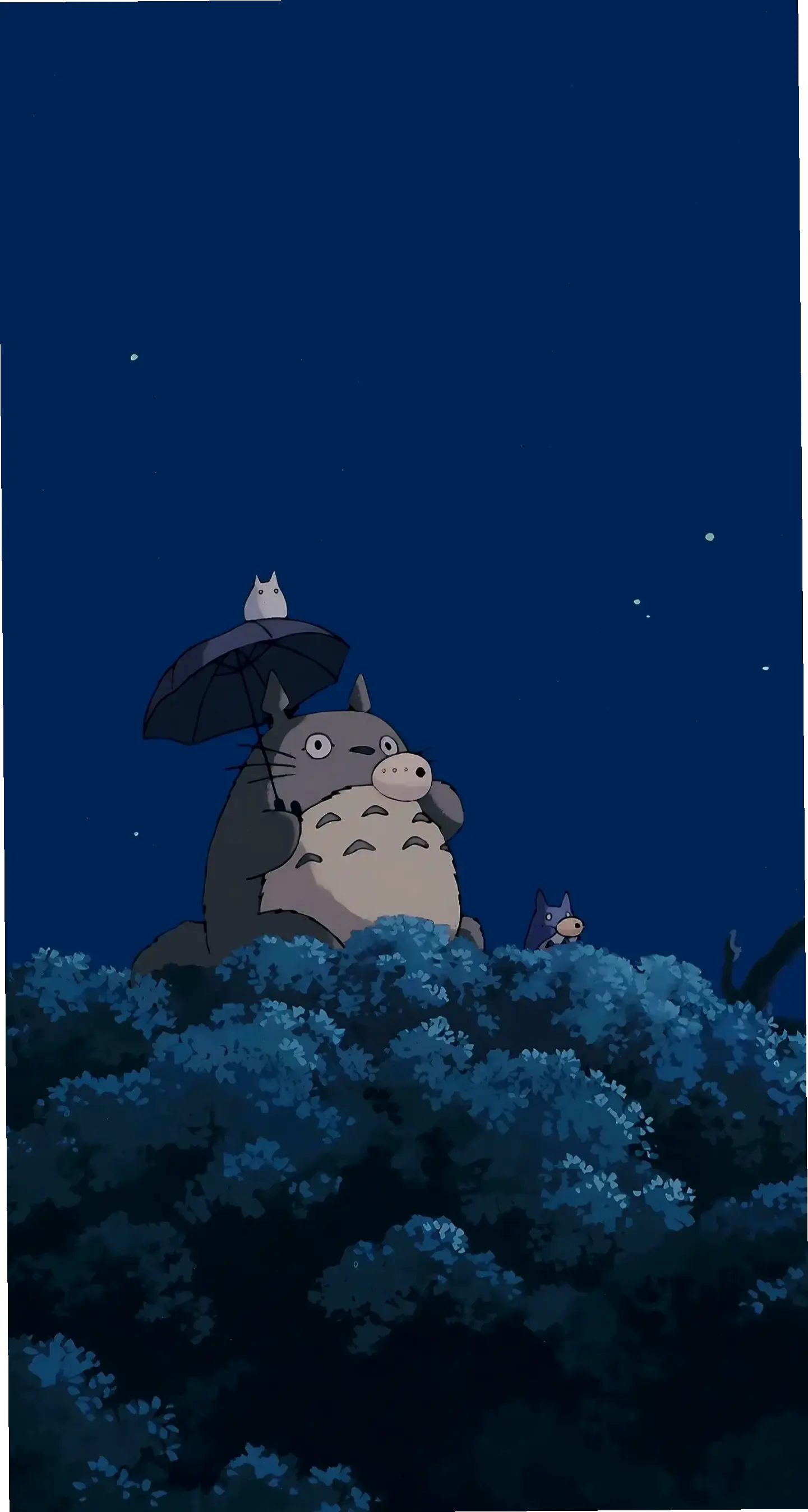 Hình nền Totoro cho điện thoại, dễ thương và sắc nét, biến thiết bị của bạn thành thế giới anime đầy màu sắc!