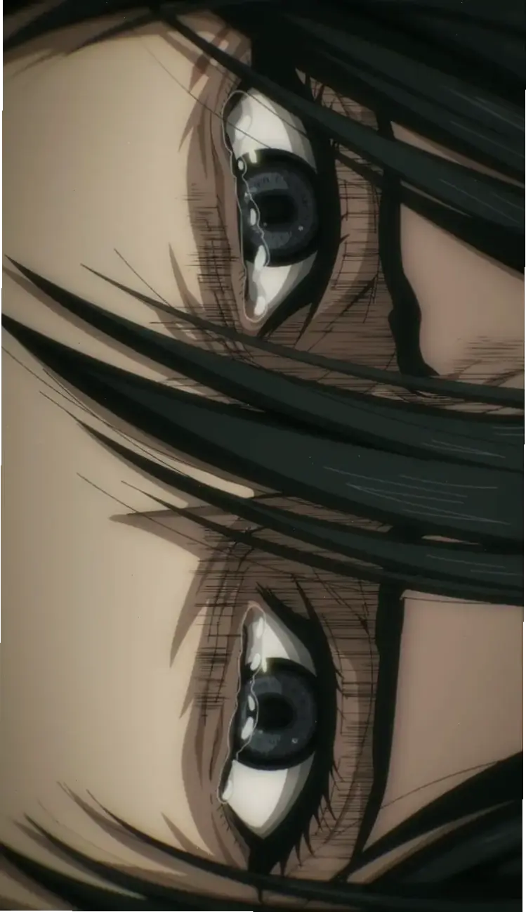 Mikasa eyes: Chi tiết về đôi mắt biểu cảm, phản ánh cảm xúc mạnh mẽ của Mikasa trong series.